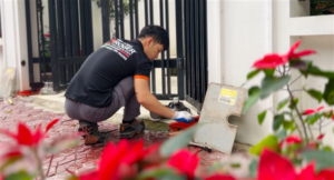 bảo dưỡng định kỳ